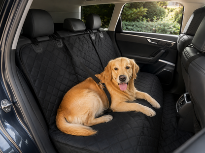 Canihousse-Housse de protection de voiture pour chien